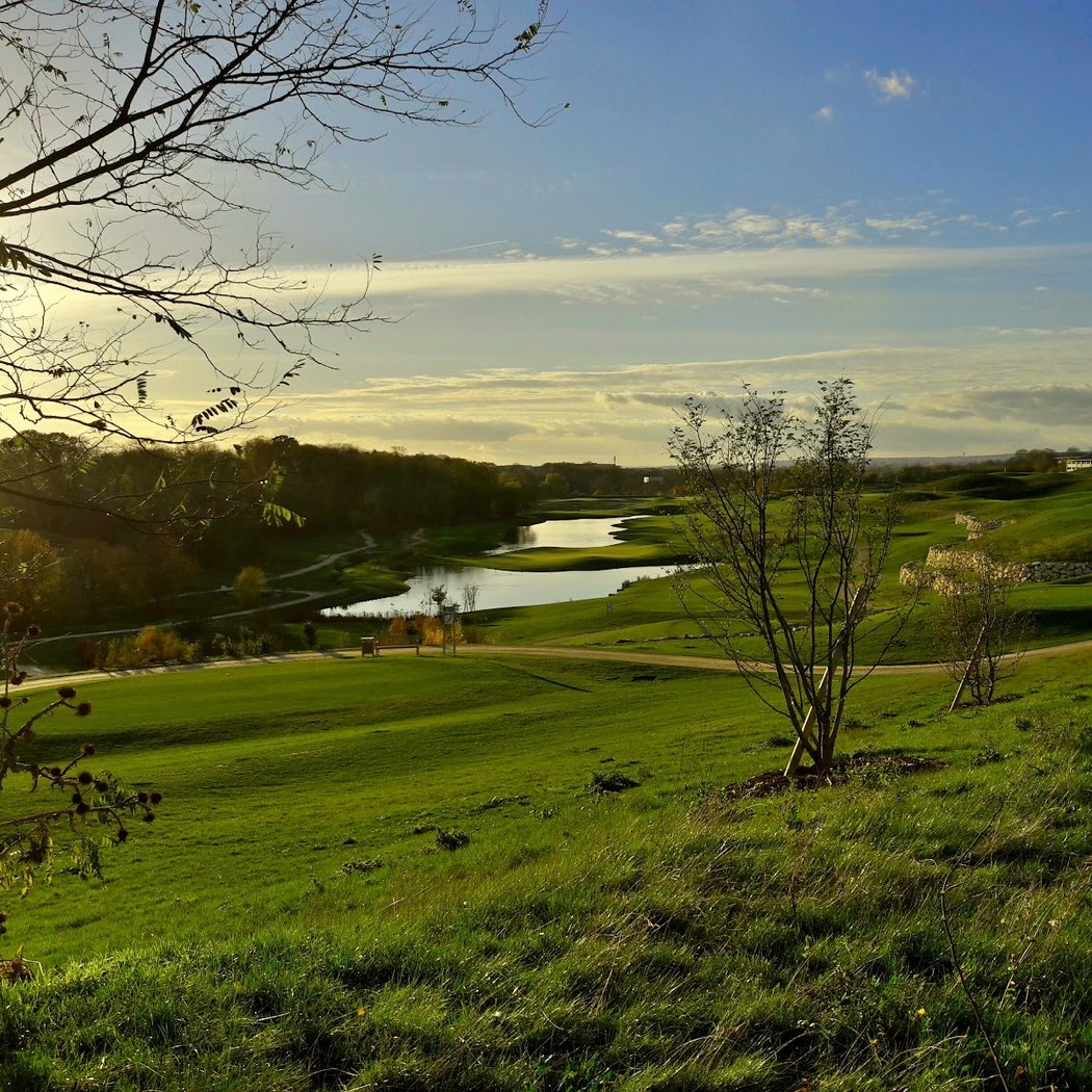 The Green Valley 1